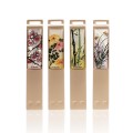 �籺�� �ڰ� USB2.0 8G N250G